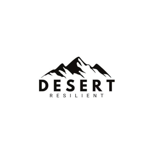 Desert Shoes