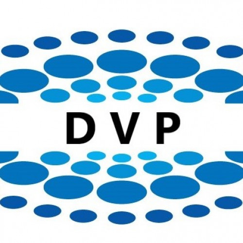 DVP Contractors (Pty) Ltd