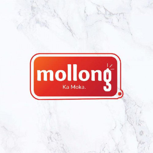Mollong Group Pty Ltd