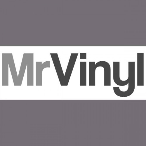 Mr Vinyl