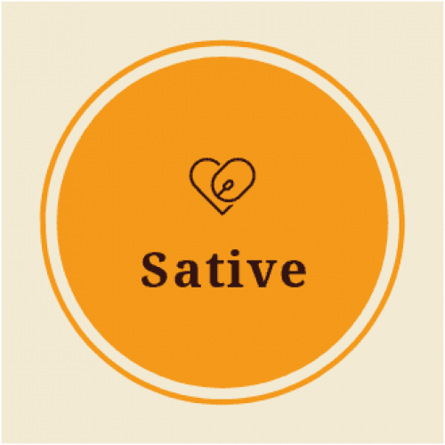 Sative store