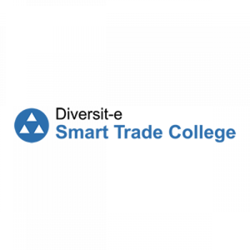 Diversit-e Smart Trade College