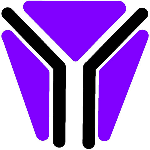 Yavneh Solutions